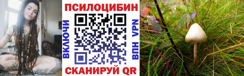 Галлюциногенные грибы Psilocybe  Купить где  Поворино 